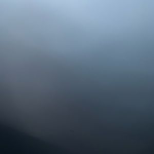 Meet your Posher, Peter